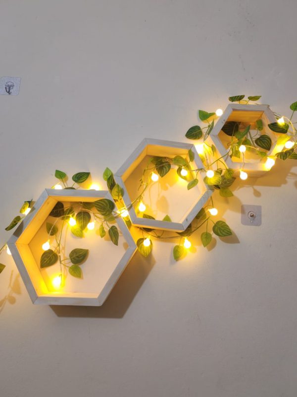 WhatsApp Image 2026-01-20 at 11.00.22 AM