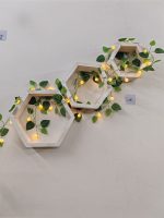 WhatsApp Image 2026-01-20 at 11.00.23 AM