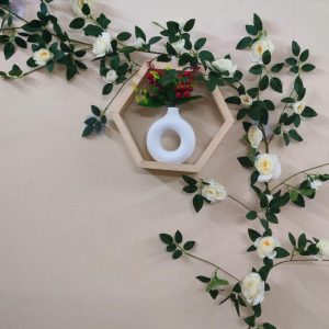 রোজ ভাইন ওয়াল সেলফ সেটআপ