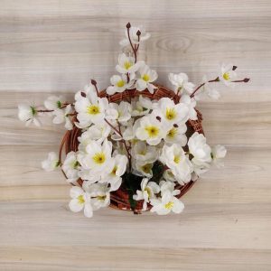 চেরি ফুলের ওয়ালটব