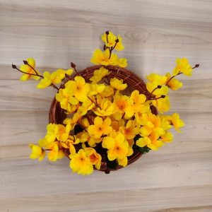 চেরি ফুলের ওয়ালটব