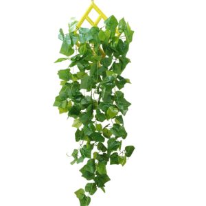 পাতা ঝাড়