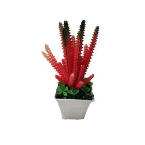 ক্যাকটাস