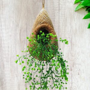 পাখির বাসা পাতা ঝাড়