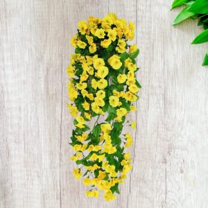 কলমি ফুলের ঝাড়