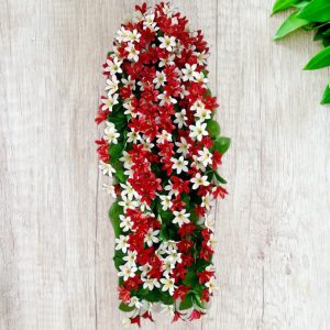 বেলি ফুলের ঝাড়