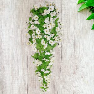 কলমি ফুলের ঝাড়