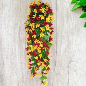 বেলি ফুলের ঝাড়