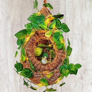 পাখির বাসা পাতা এবং লাইট