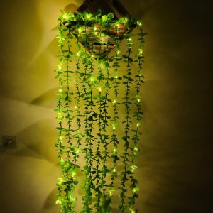 কয়েন পাতা ঝাড়