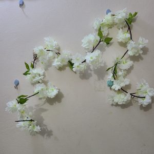 ফুলের লতা