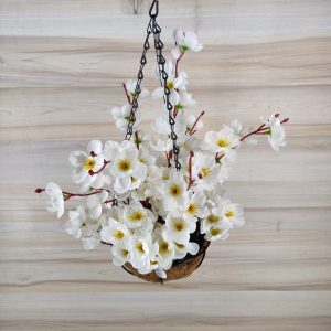 নারেকেল ঝুড়ি চেরি টব