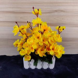 চেরি গার্ডেন টব