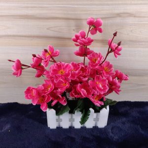 চেরি গার্ডেন টব