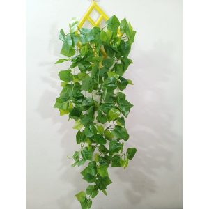 নেচেরাল পাতা ঝাড়