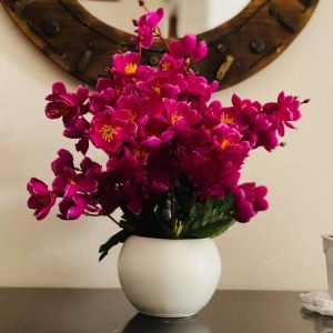 লাল চেড়ি টেবিল টব