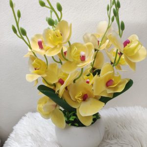 অর্কিড টব