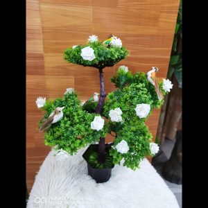 গোলাপ বনসাই