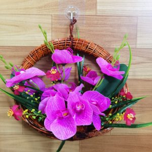 বেতের অর্কিড