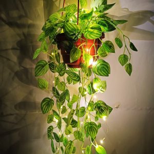 পাতা ঝাড় লাইট