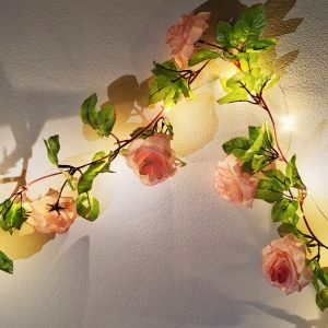 গোলাপ লাতা লাইট