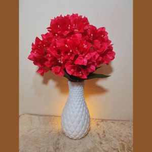 বাগান বিলাস