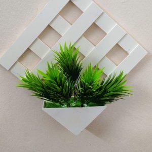 কোন টব ঘাস