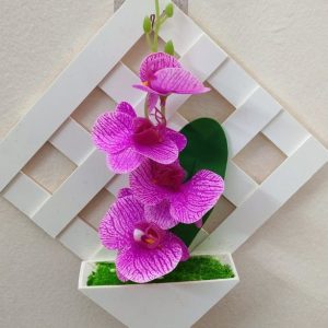 কোন টব বেগুনি অর্কিড