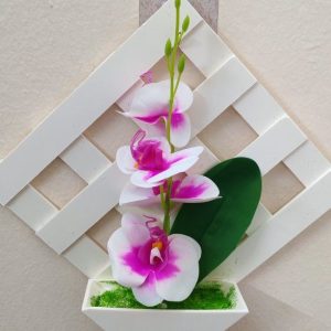 কোন টব পিংক অর্কিড