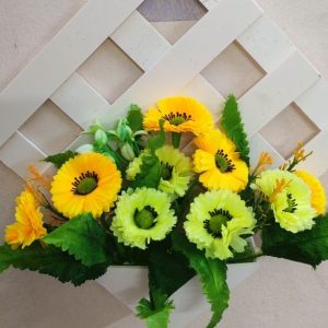 কোন টব মাল্টি সূর্য