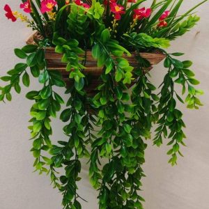 কোন সরিষা মেহেদী ঝাড়