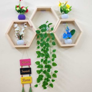 ওয়াল সেলফ হোম ডেকর