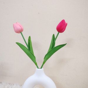 ডোনাট টপ টিউলিপ