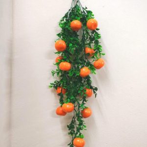 কমলা ফলের ঝাড়