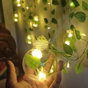 উইশ বল লাইট