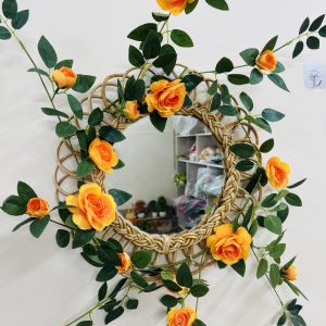 মিরর রোজ ভাইন সেটাপ